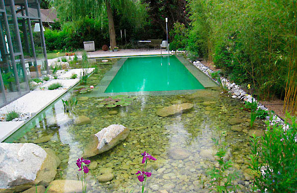 natural pool